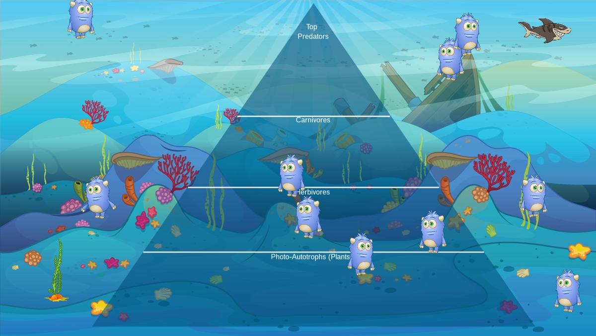 Ocean Ecological Pyramid