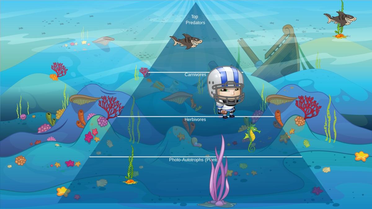 Ocean Ecological Pyramid