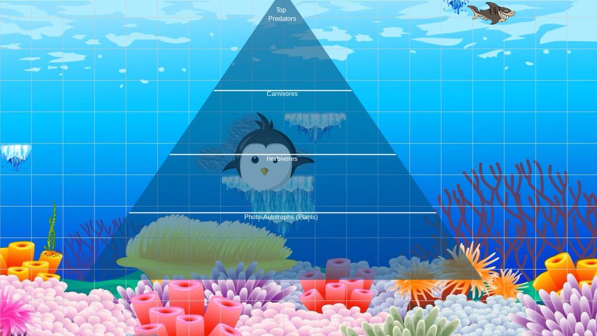 Ocean Ecological Pyramid