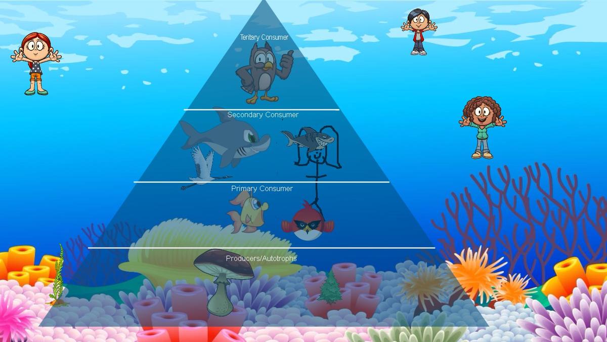 Ocean Ecological Pyramid