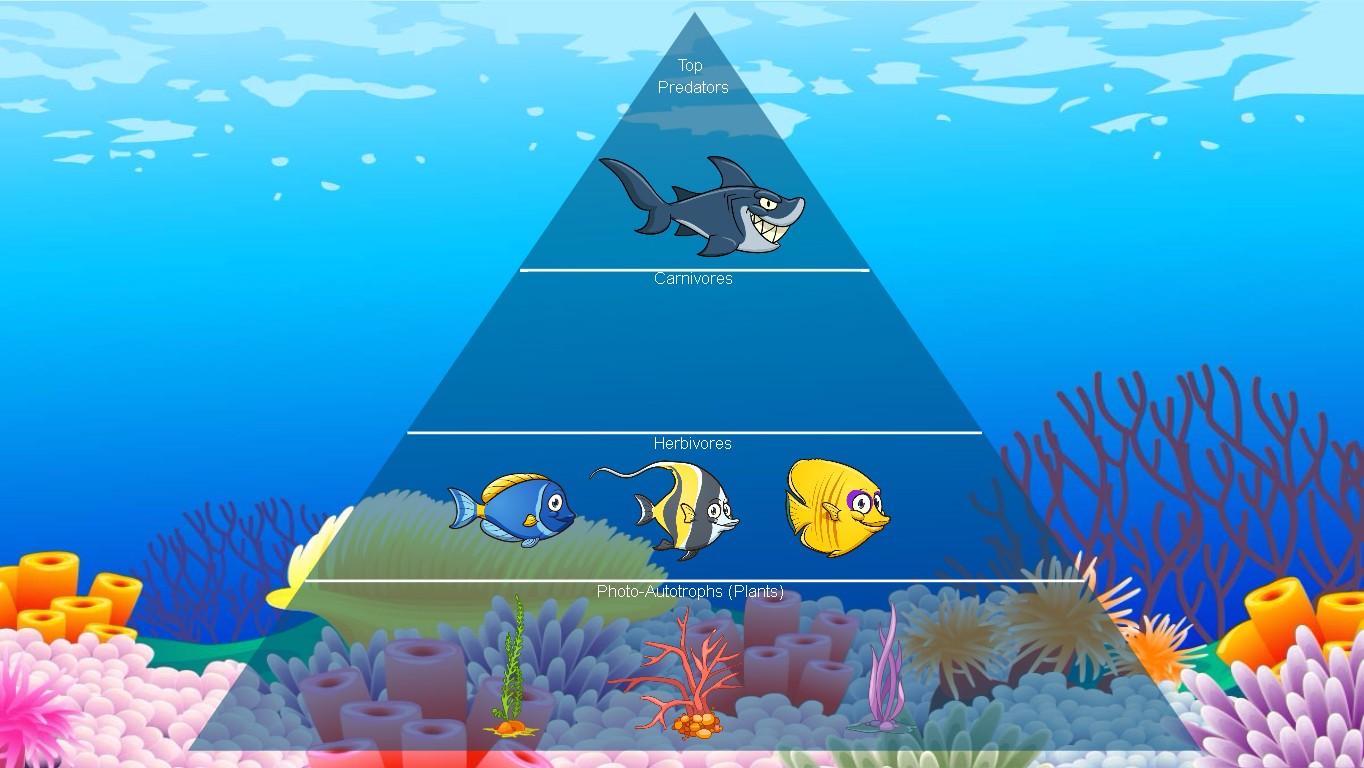 Ocean Ecological Pyramid