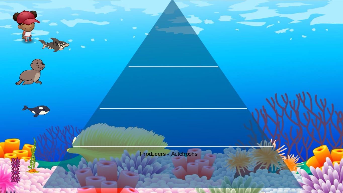 Ocean Ecological Pyramid