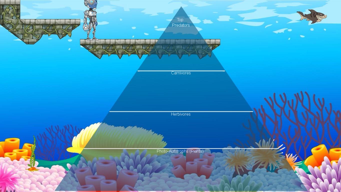 Ocean Ecological Pyramid