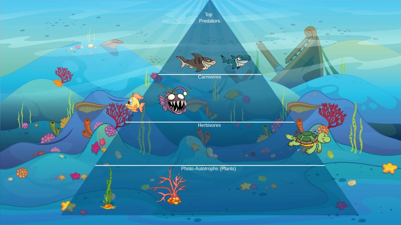 Ocean Ecological Pyramid