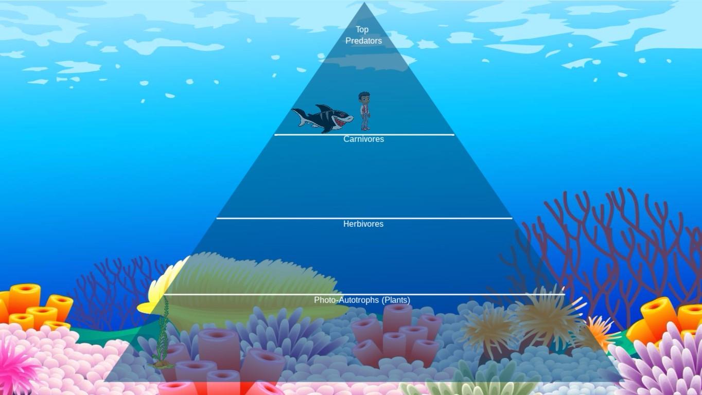 Ocean Ecological Pyramid