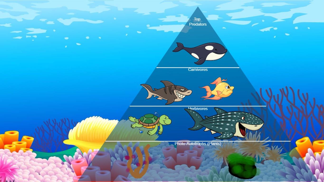 Ocean Ecological Pyramid