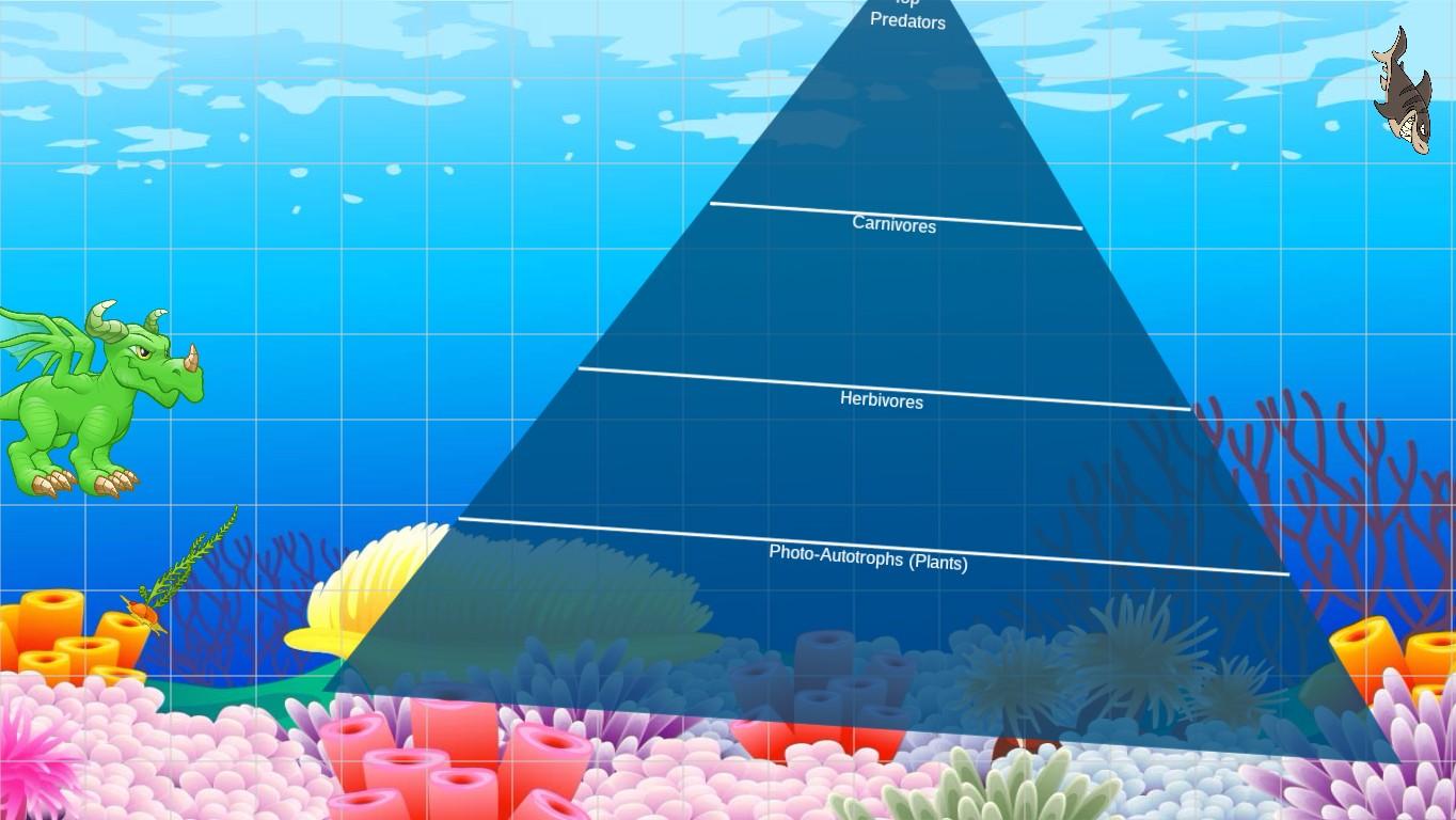 Ocean Ecological Pyramid