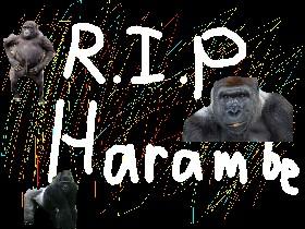 RIP Harambe