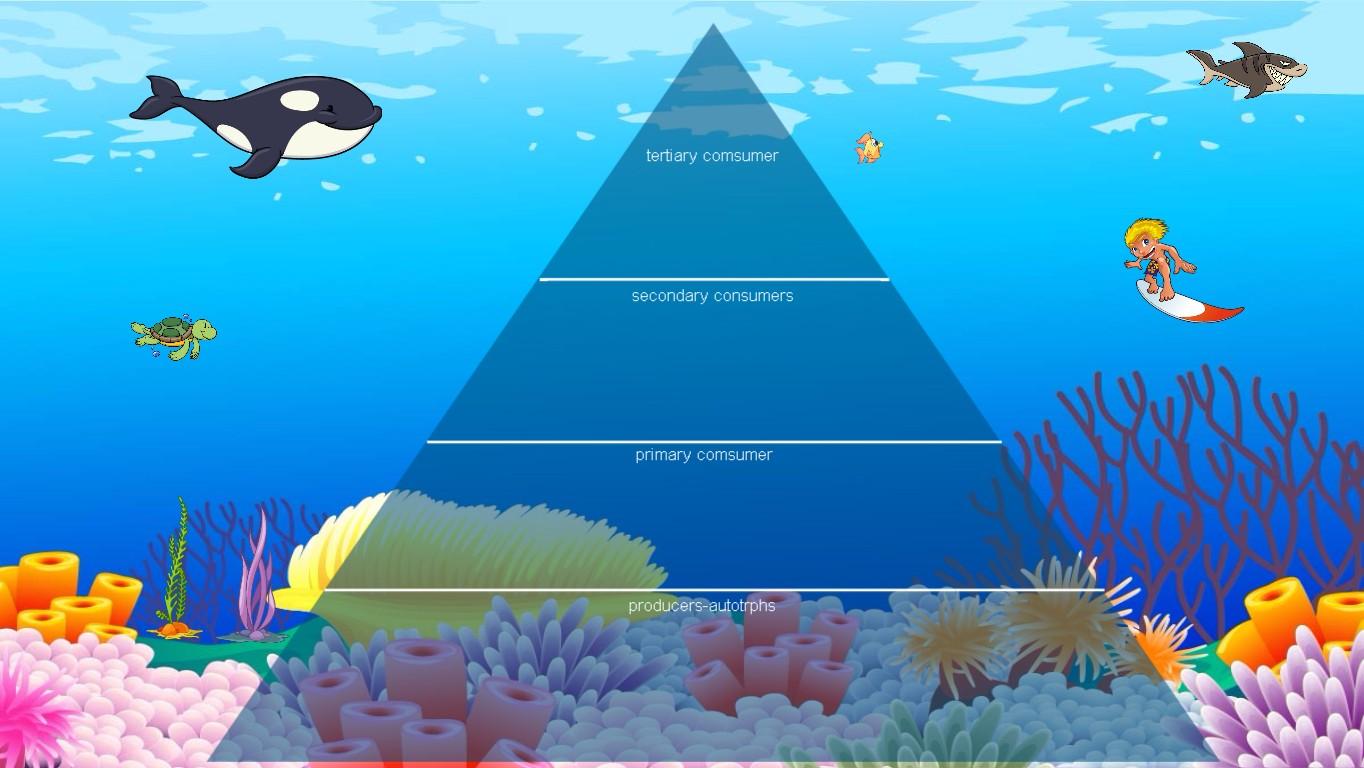 Ocean Ecological Pyramid