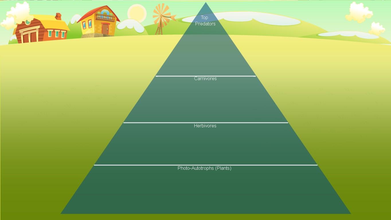 Ocean Ecological Pyramid