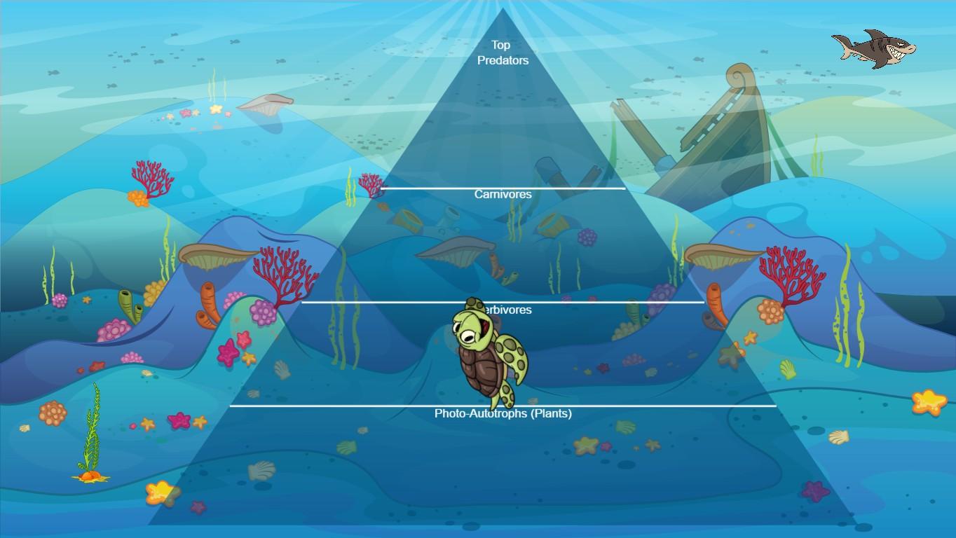 Ocean Ecological Pyramid