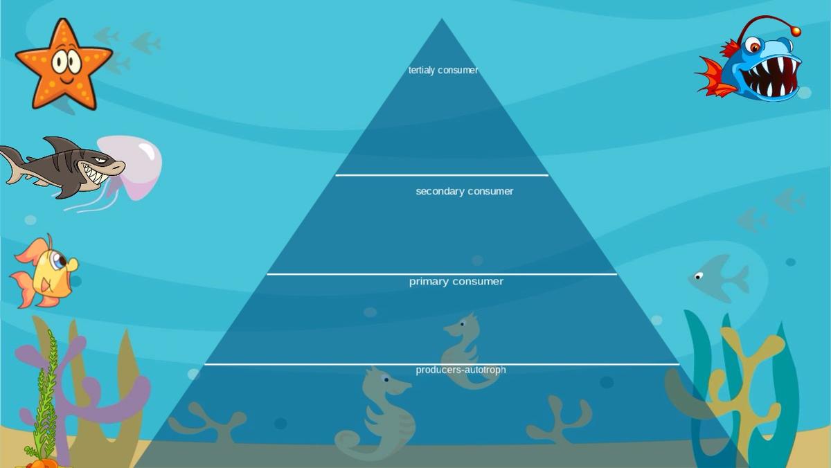 Ocean Ecological Pyramid