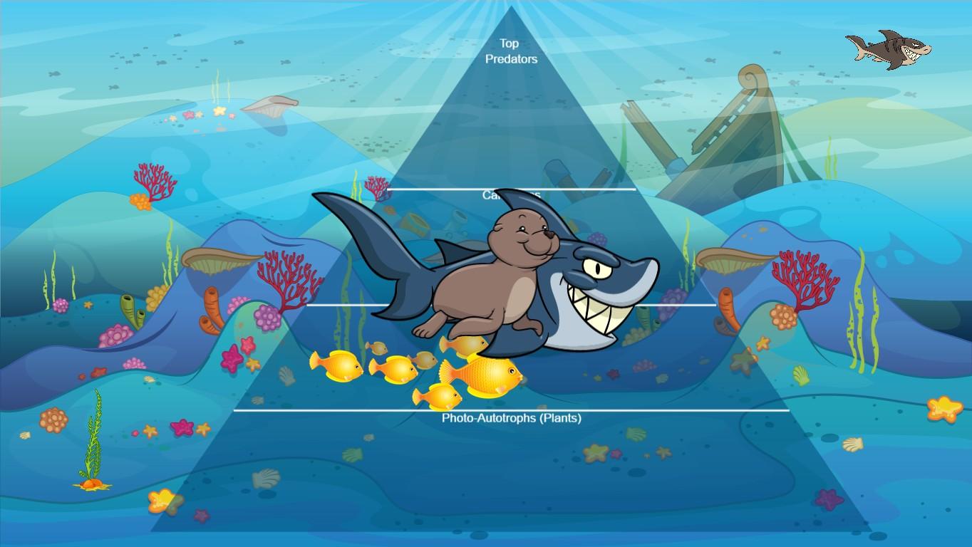 Ocean Ecological Pyramid