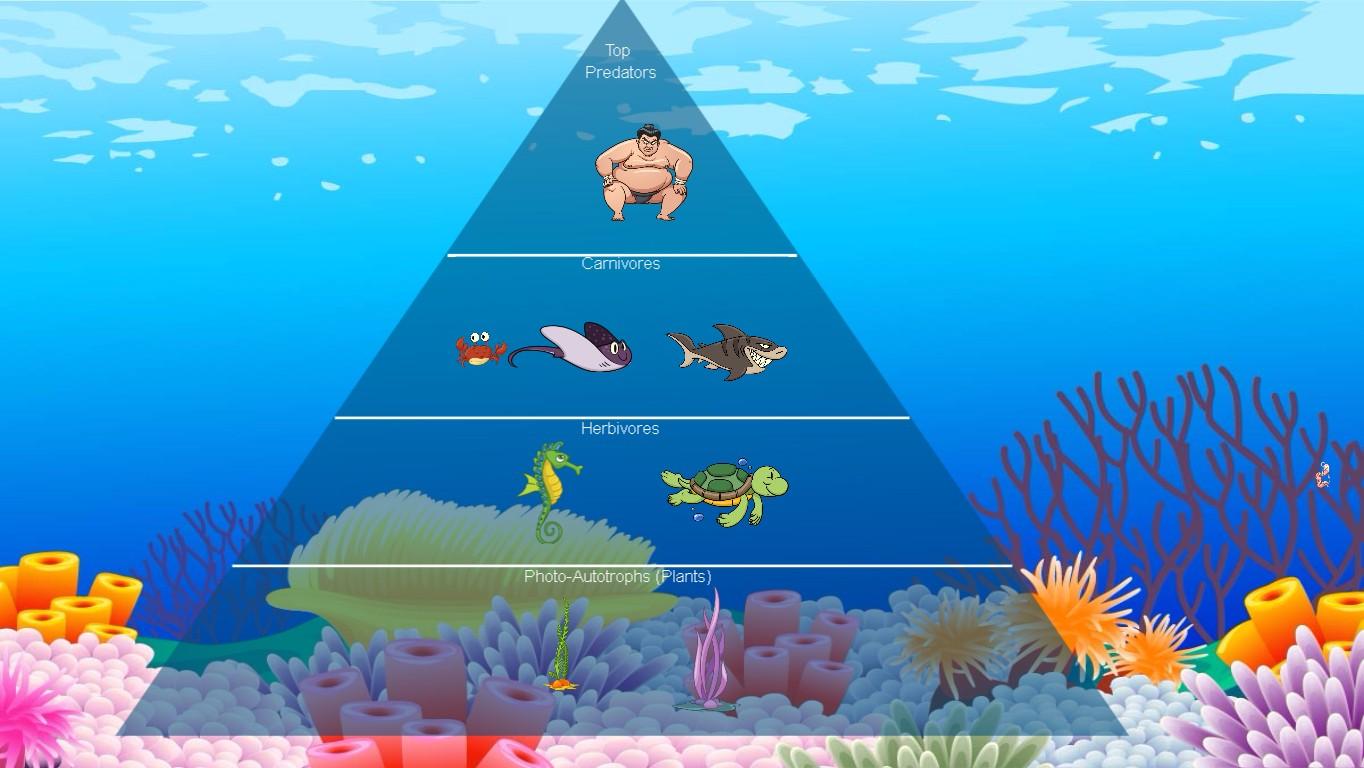 Ocean Ecological Pyramid