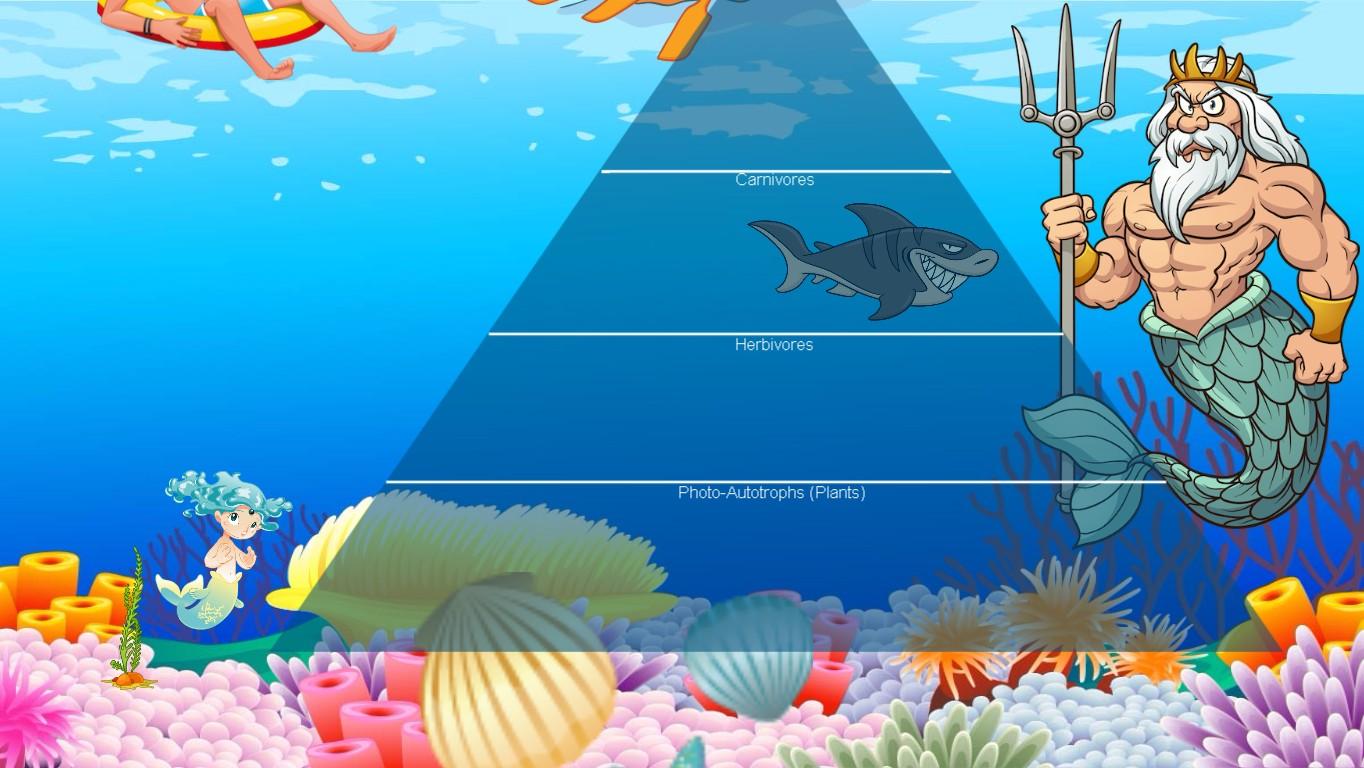 Ocean Ecological Pyramid