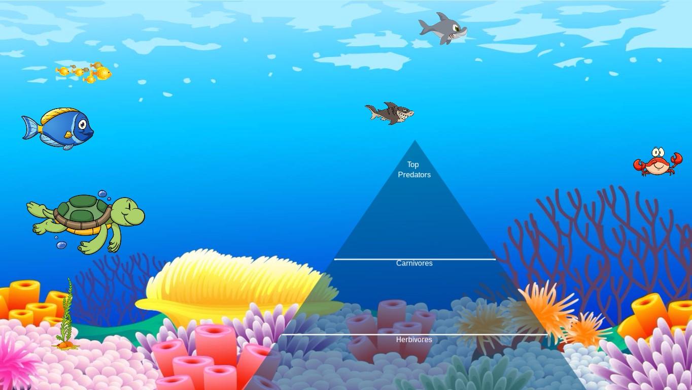 Ocean Ecological Pyramid