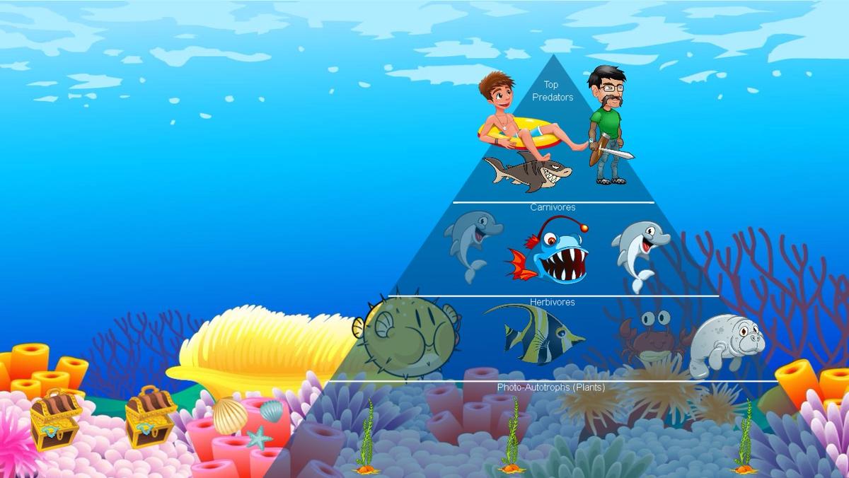 Ocean Ecological Pyramid