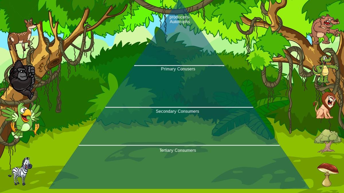 Ocean Ecological Pyramid