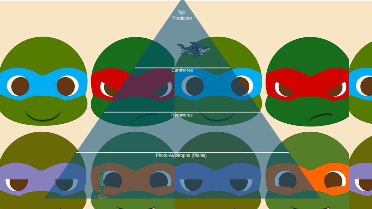 Ocean Ecological Pyramid