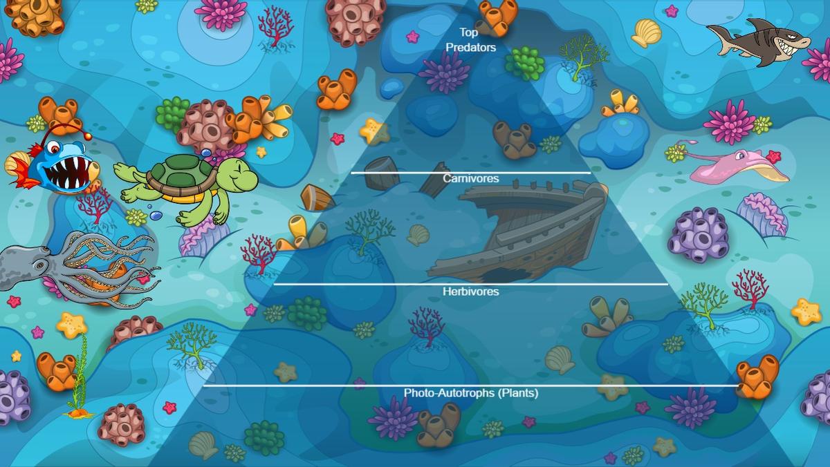 Ocean Ecological Pyramid