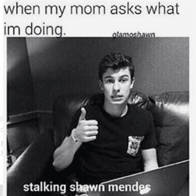 Shawn Mendes Meme