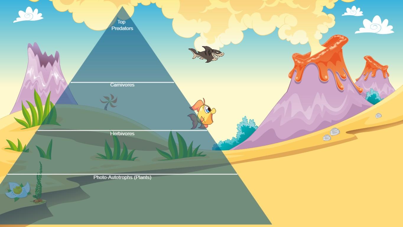 Ocean Ecological Pyramid