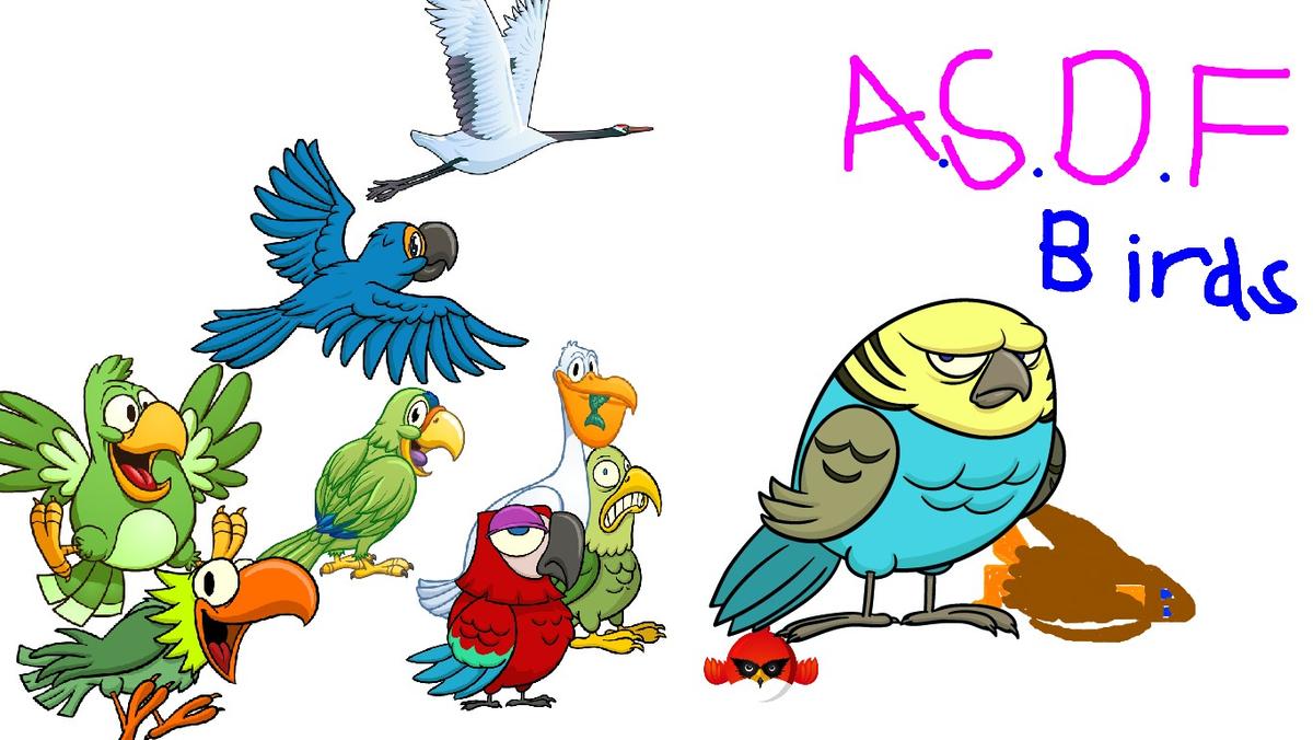 A.S.D.F birds