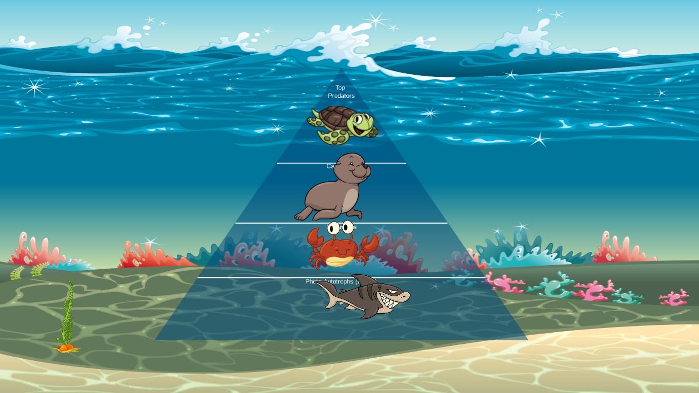 Ocean Ecological Pyramid