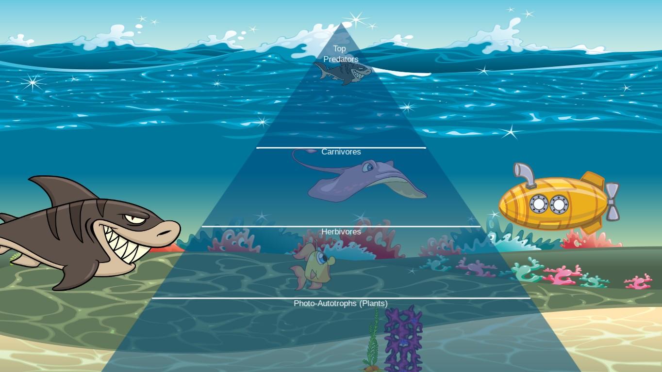 Ocean Ecological Pyramid