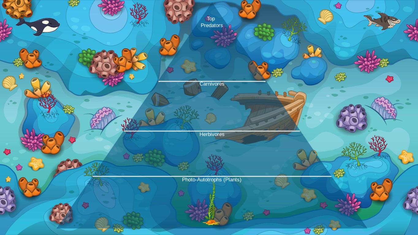 Ocean Ecological Pyramid