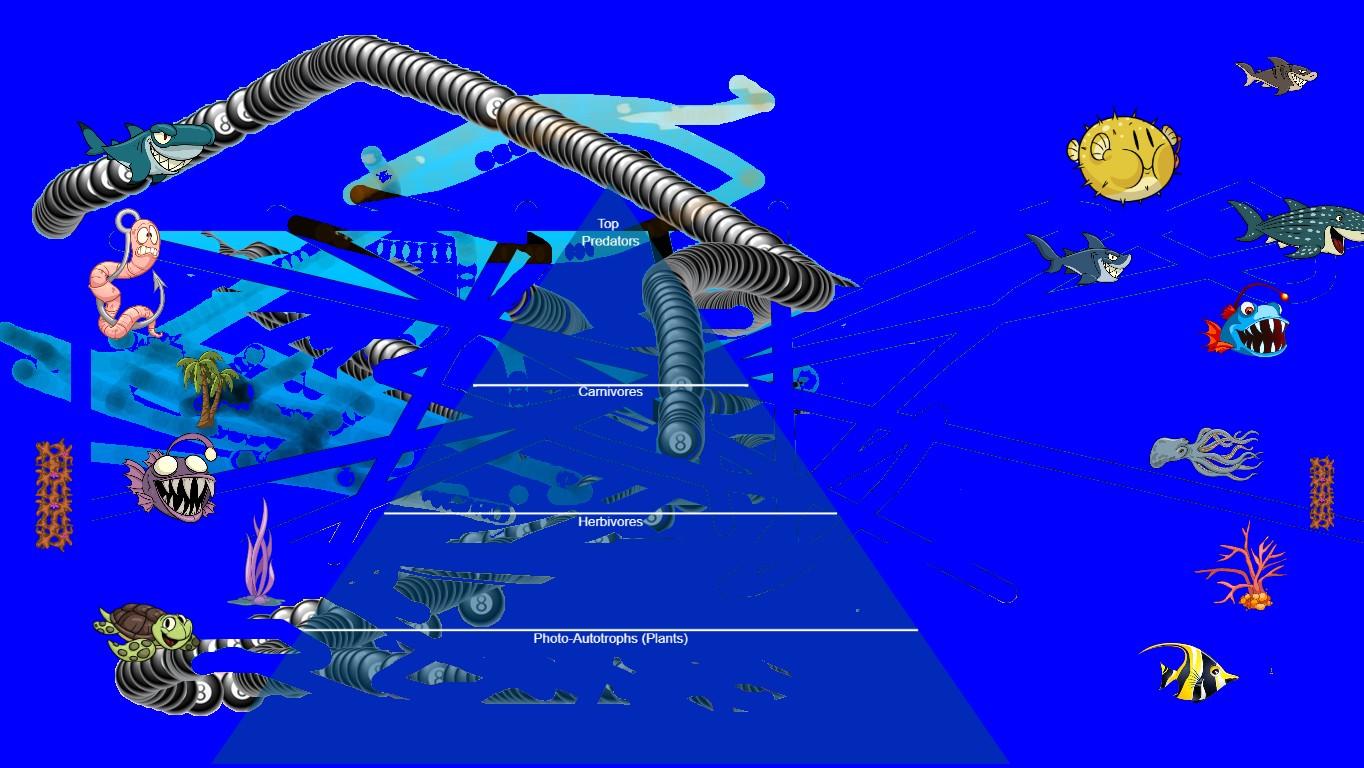 Ocean Ecological Pyramid