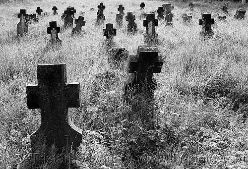 Abandoned Graveyard