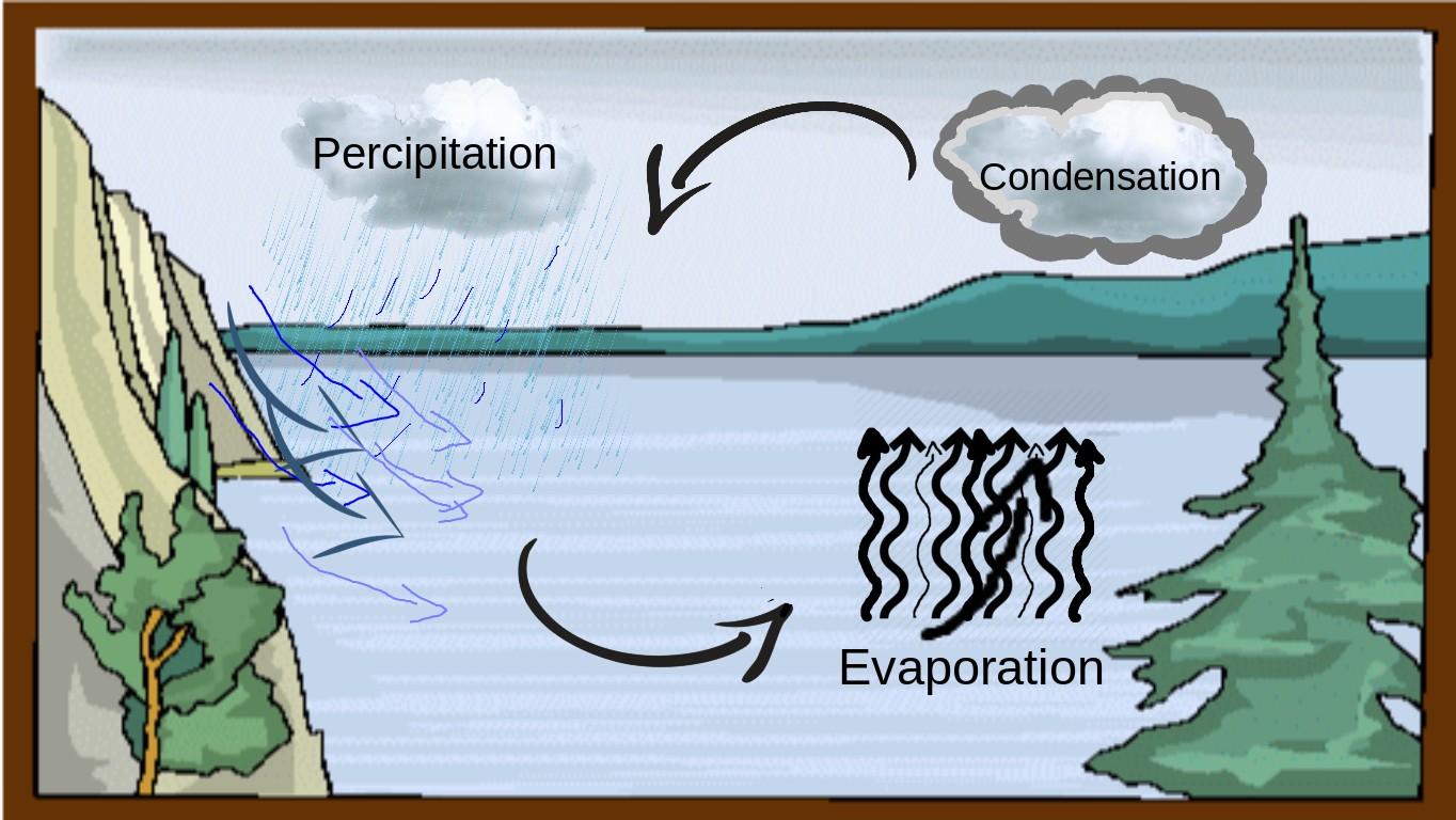 Water Cycle