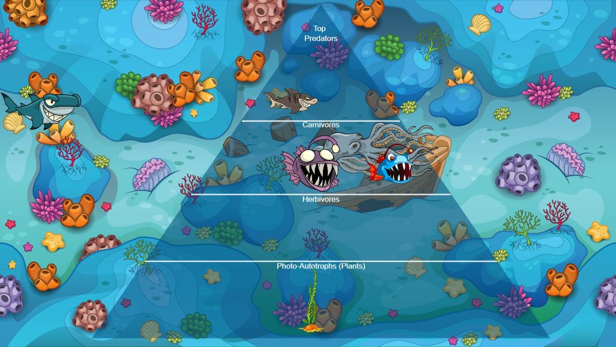 Ocean Ecological Pyramidcox