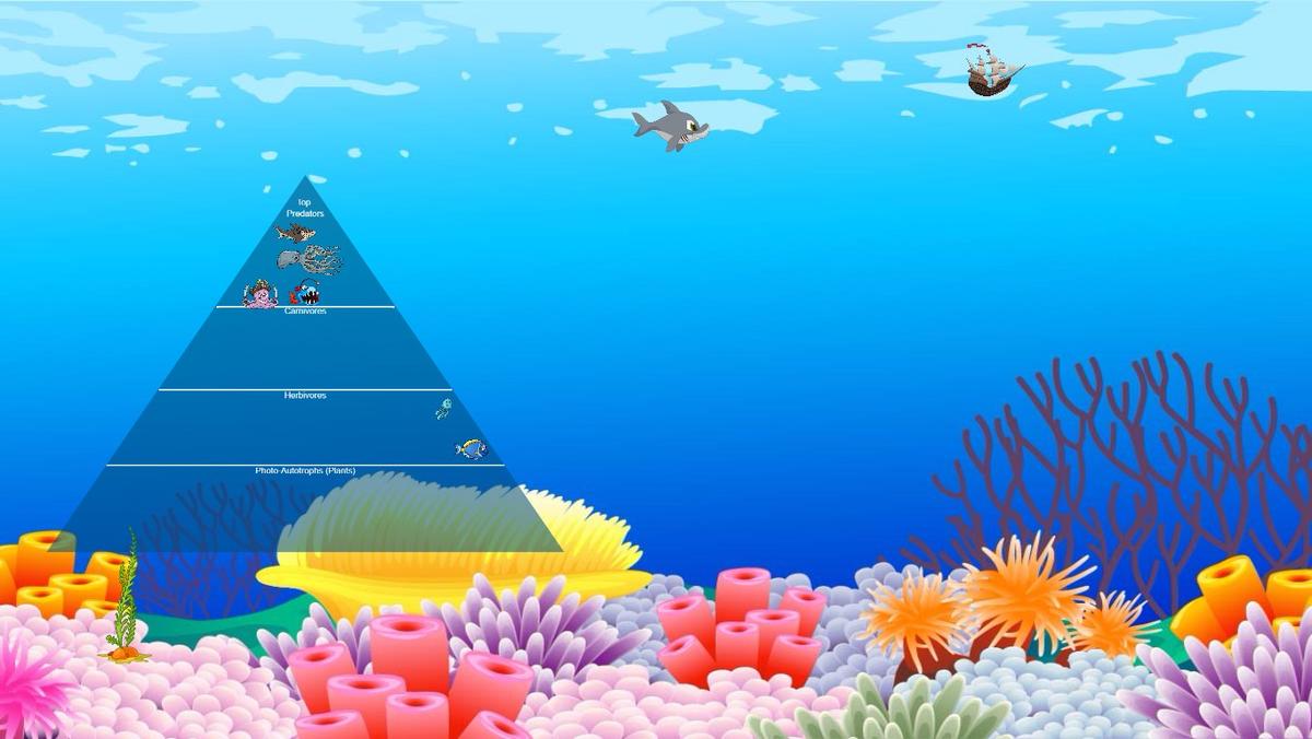 Ocean Ecological Pyramid