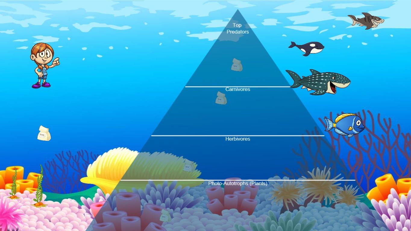 Ocean Ecological Pyramid