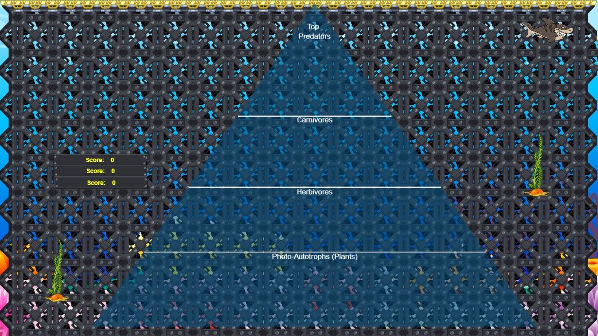 Ocean Ecological Pyramid