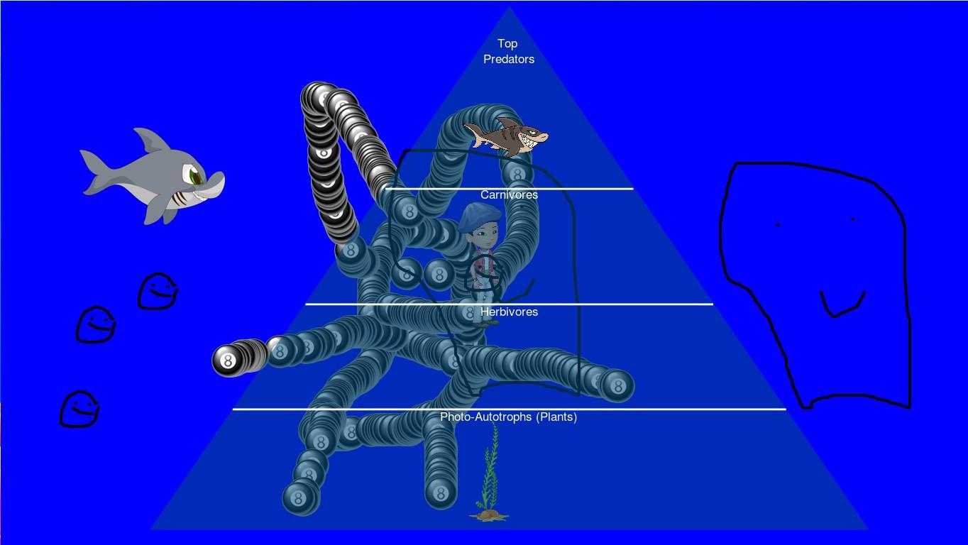 Ocean Ecological Pyramid