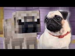 pug minecraft