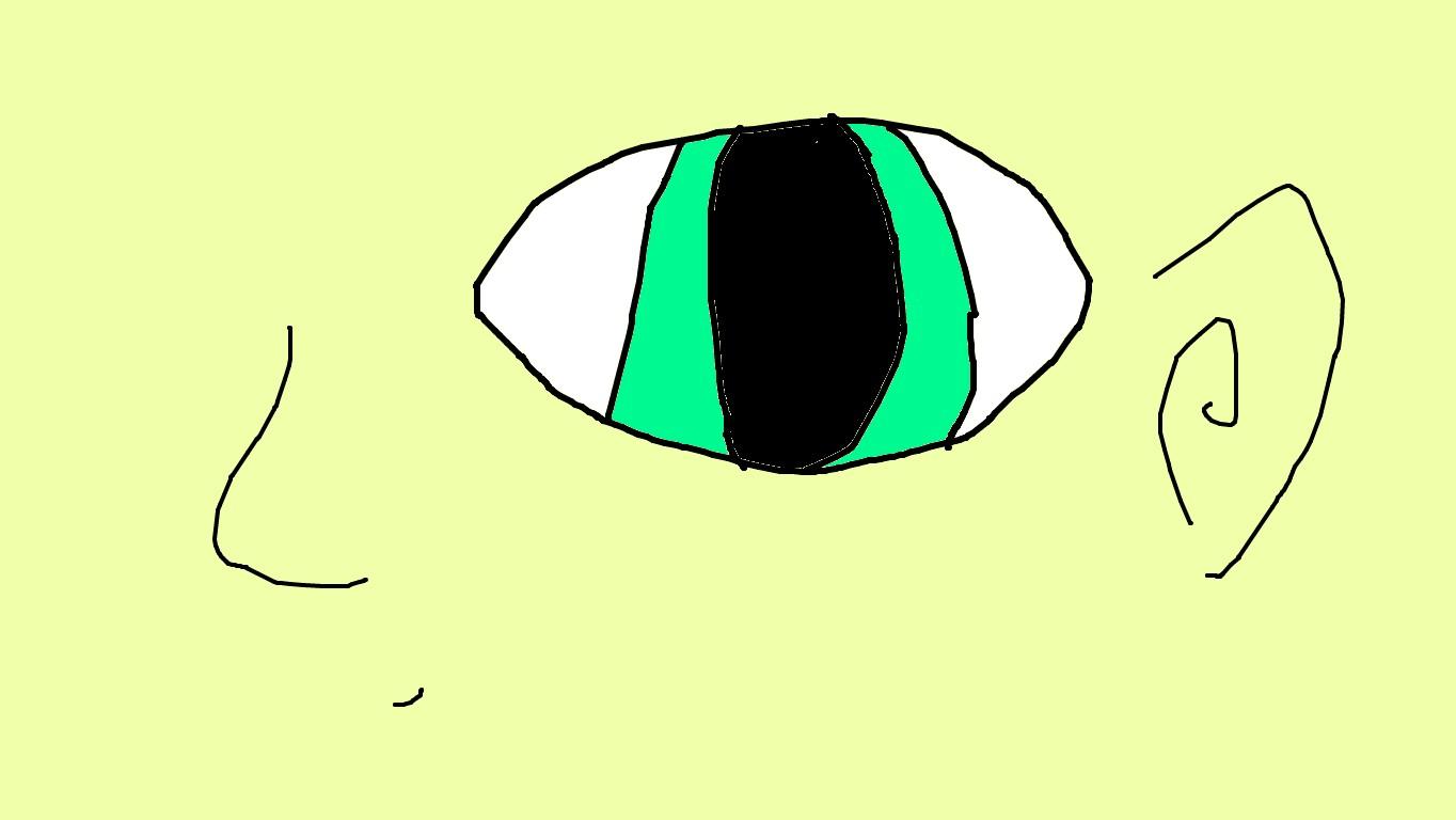 Eye animation!!