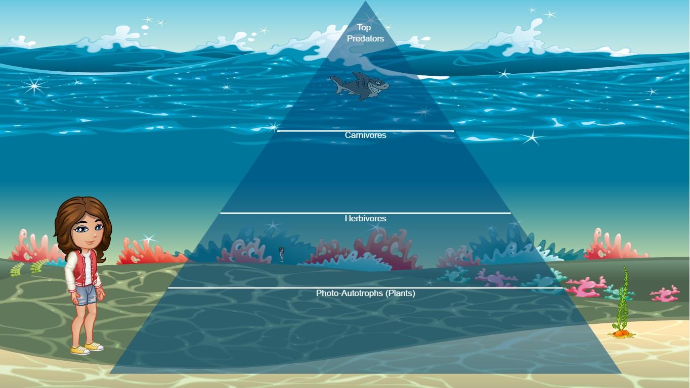 Ocean Ecological Pyramid