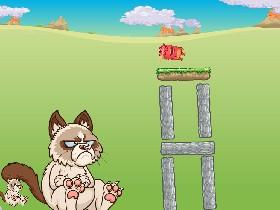 Grumpy Cat 1