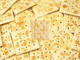 saltine cracker fidget spinner