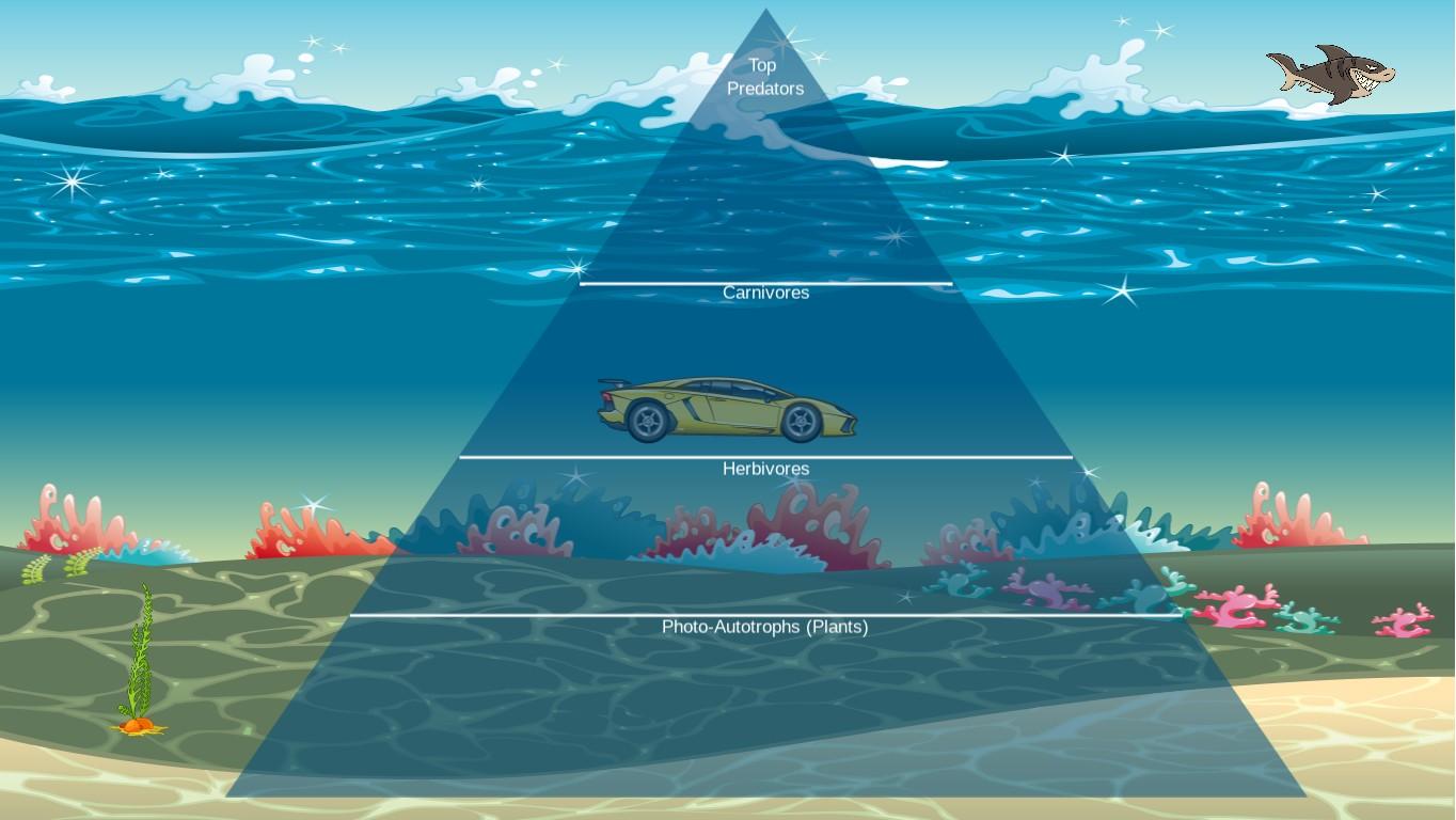 Ocean Ecological Pyramid