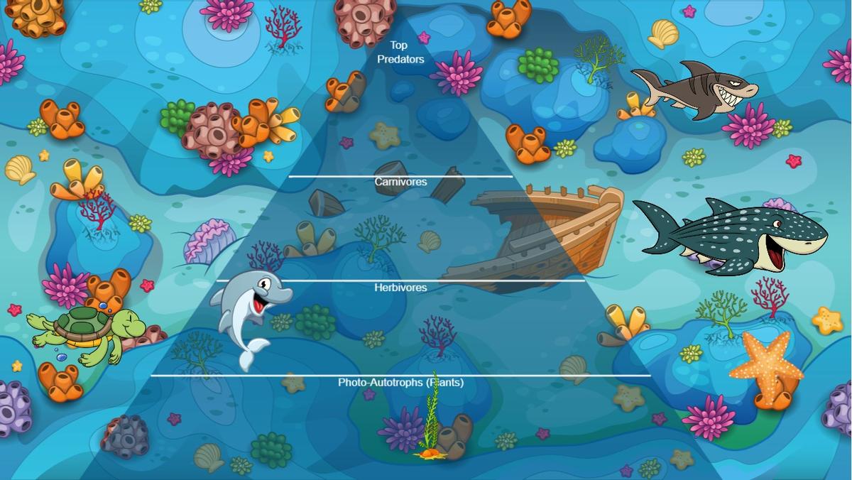 Ocean Ecological Pyramid