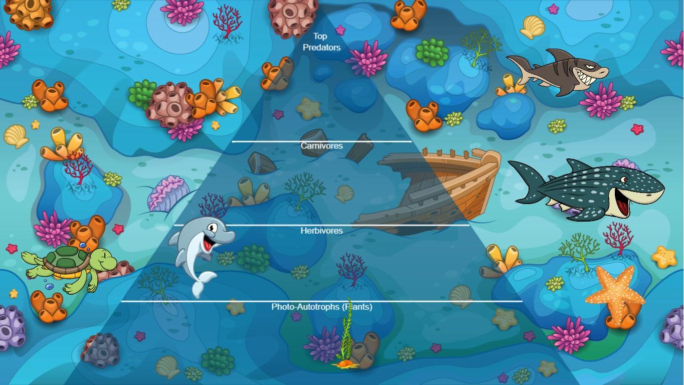 Ocean Ecological Pyramid