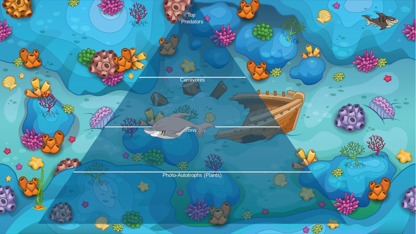 Ocean Ecological Pyramid