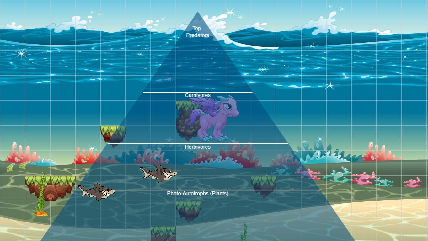 Ocean Ecological Pyramid