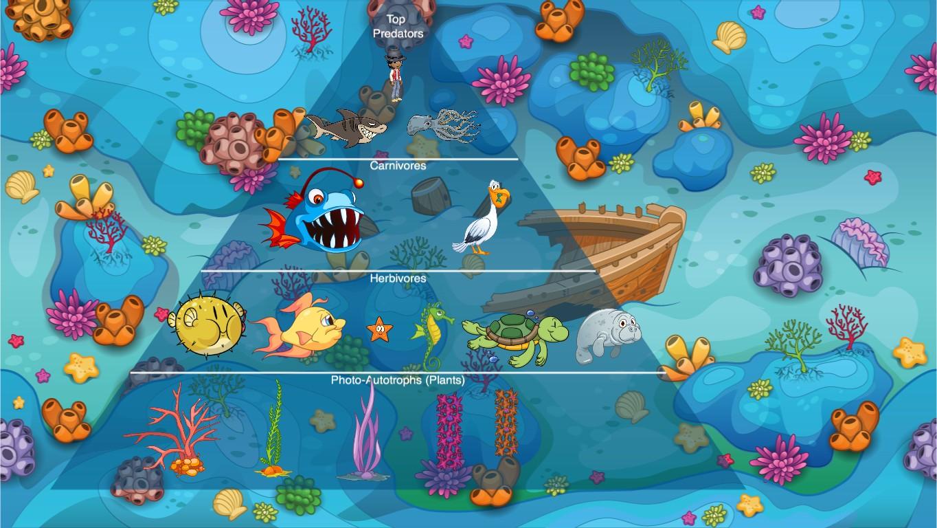 Ocean Ecological Pyramid