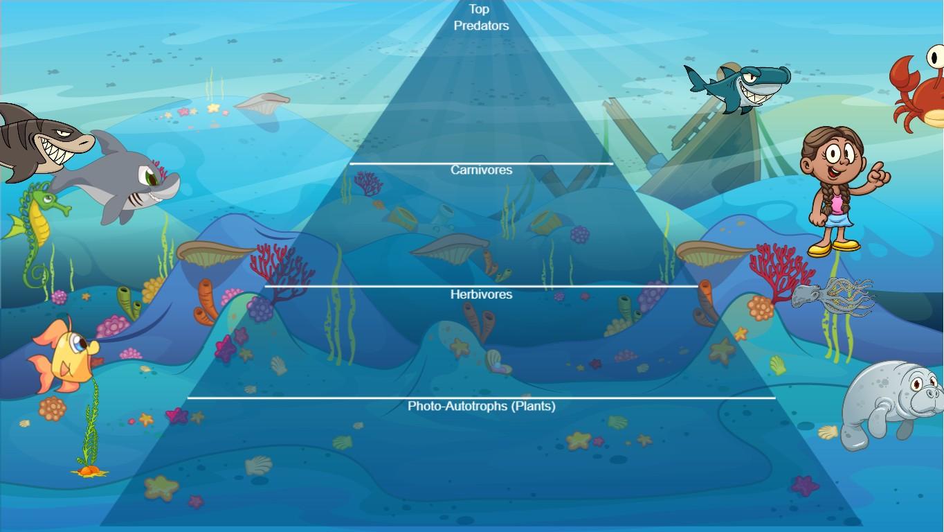 Ocean Ecological Pyramid